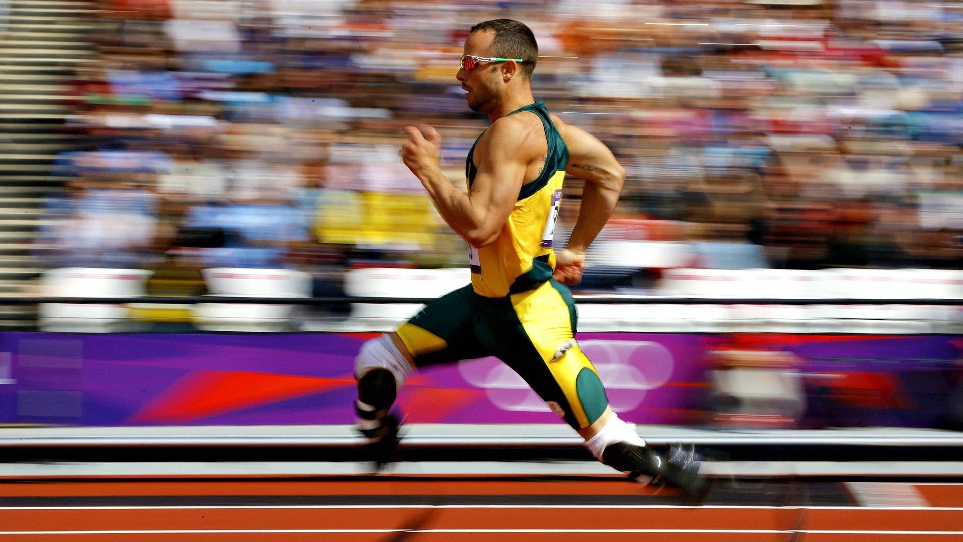 开云体育入口-厄德高统治全场，美加墨世界杯之夜的辉煌篇章